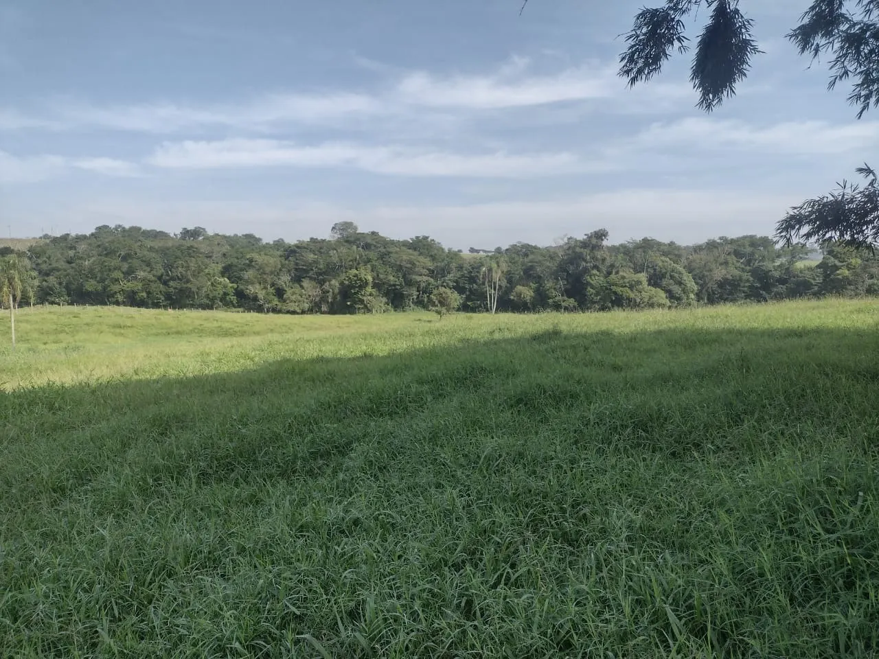 Small farm for sale of 69 acres in Itapetininga, SP, Brazil