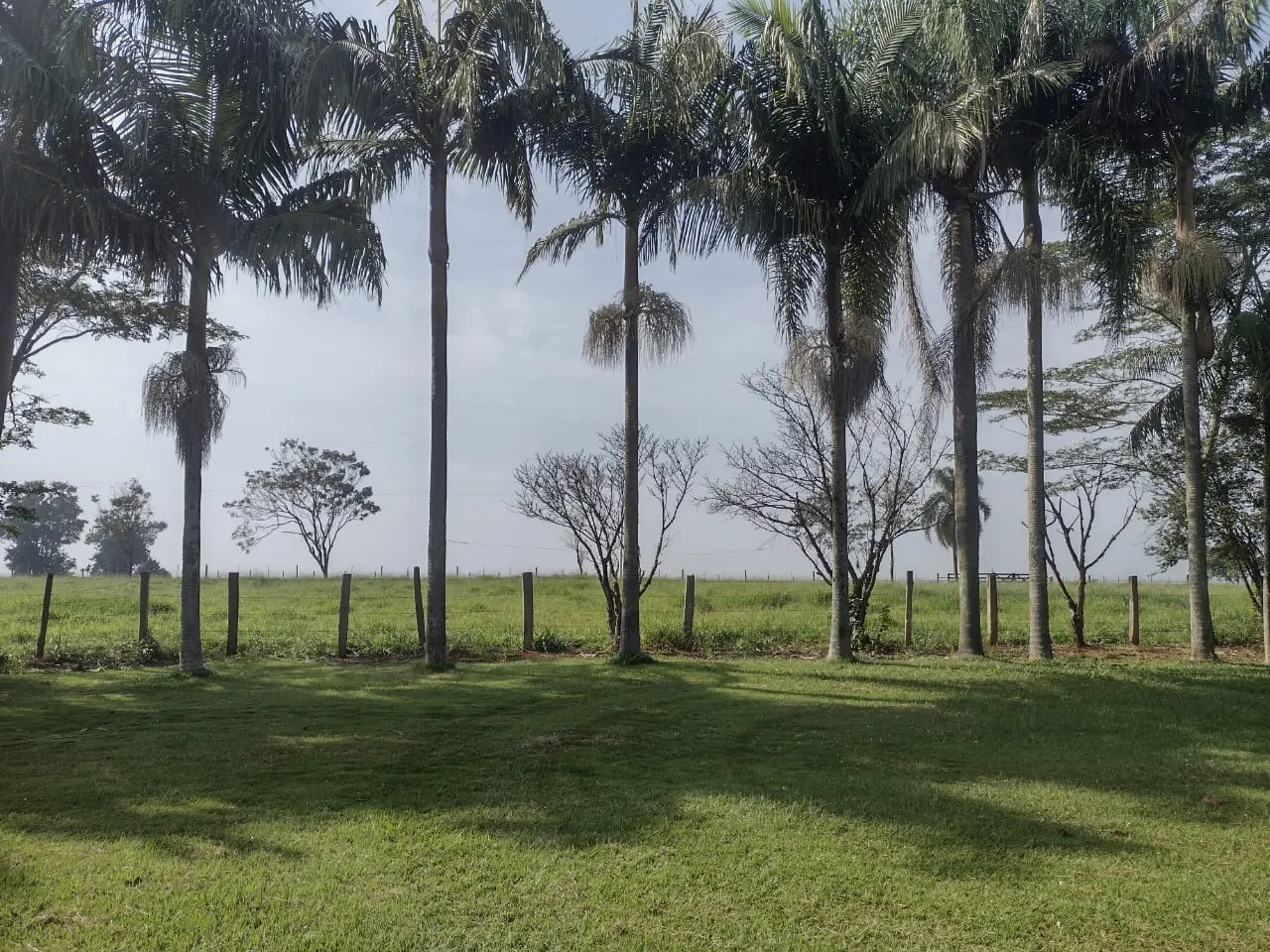 Small farm for sale of 69 acres in Itapetininga, SP, Brazil