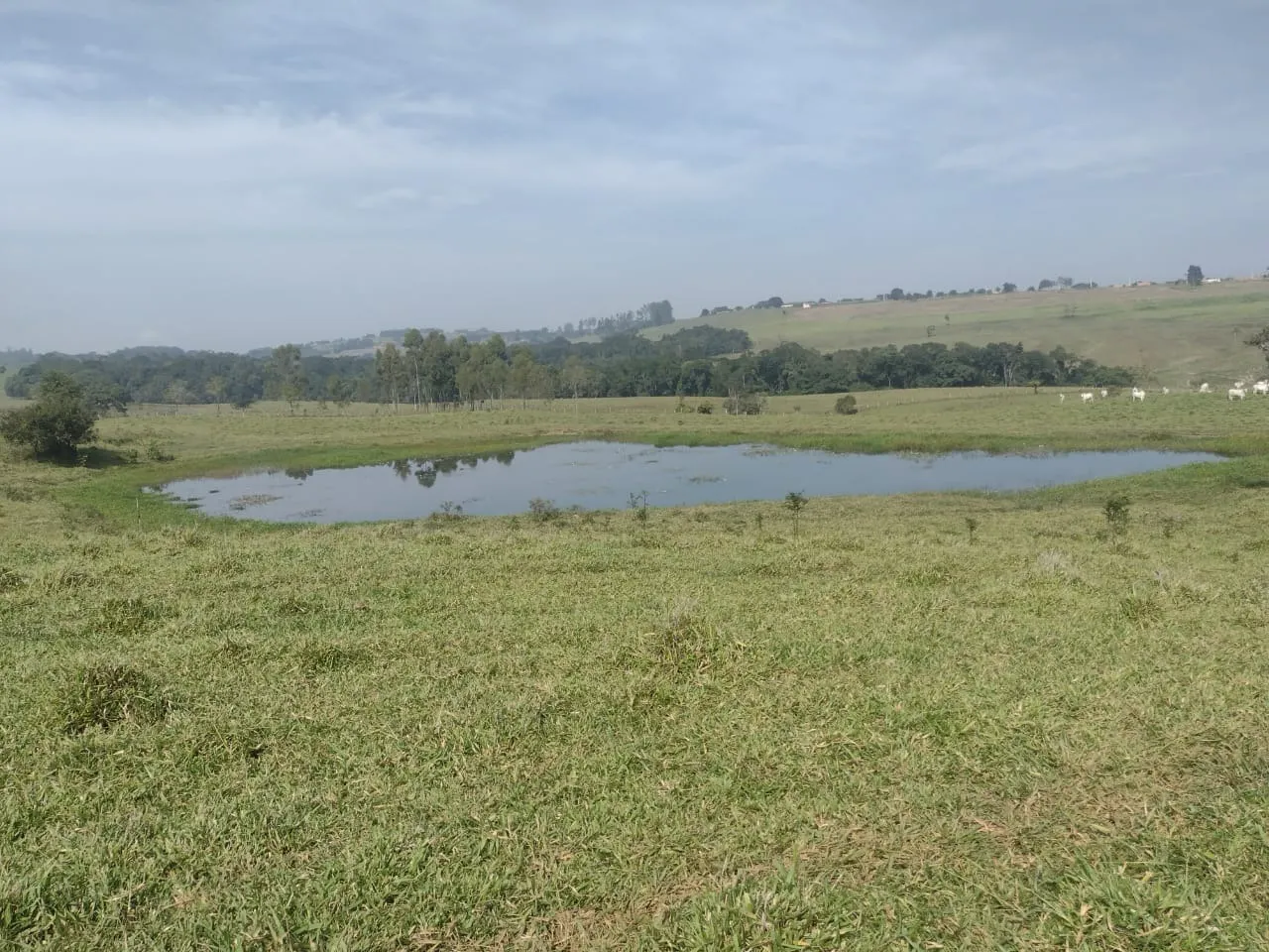 Small farm for sale of 69 acres in Itapetininga, SP, Brazil