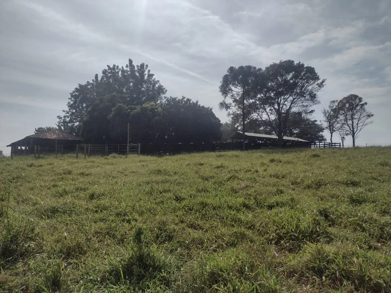 Small farm for sale of 69 acres in Itapetininga, SP, Brazil