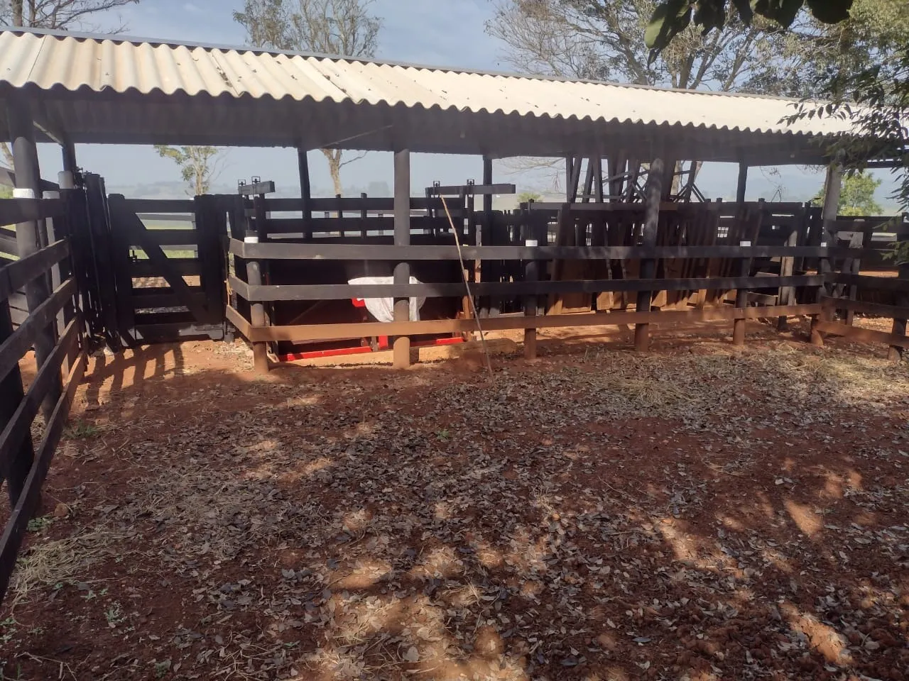 Small farm for sale of 69 acres in Itapetininga, SP, Brazil