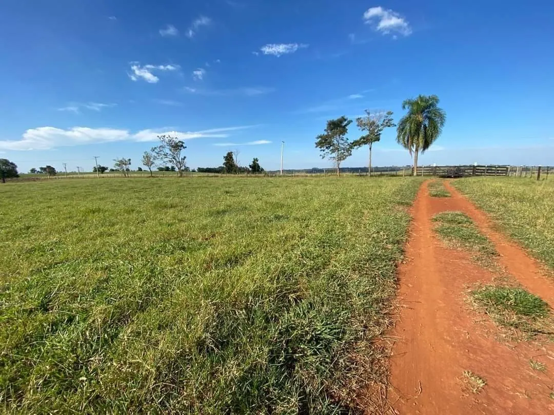 Small farm for sale of 69 acres in Itapetininga, SP, Brazil