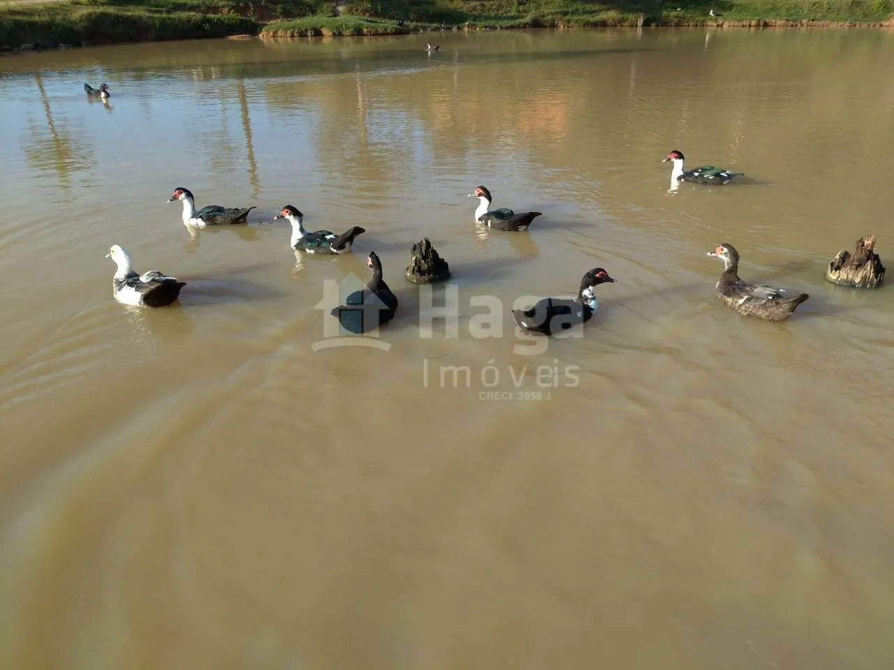 Country home for sale of 680 m² in Tijucas, SC, Brazil