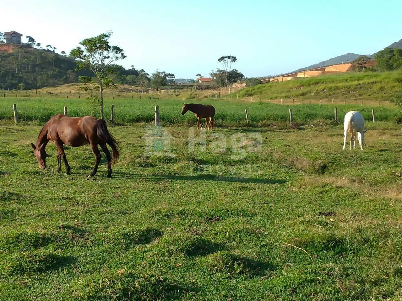 Country home for sale of 680 m² in Tijucas, SC, Brazil