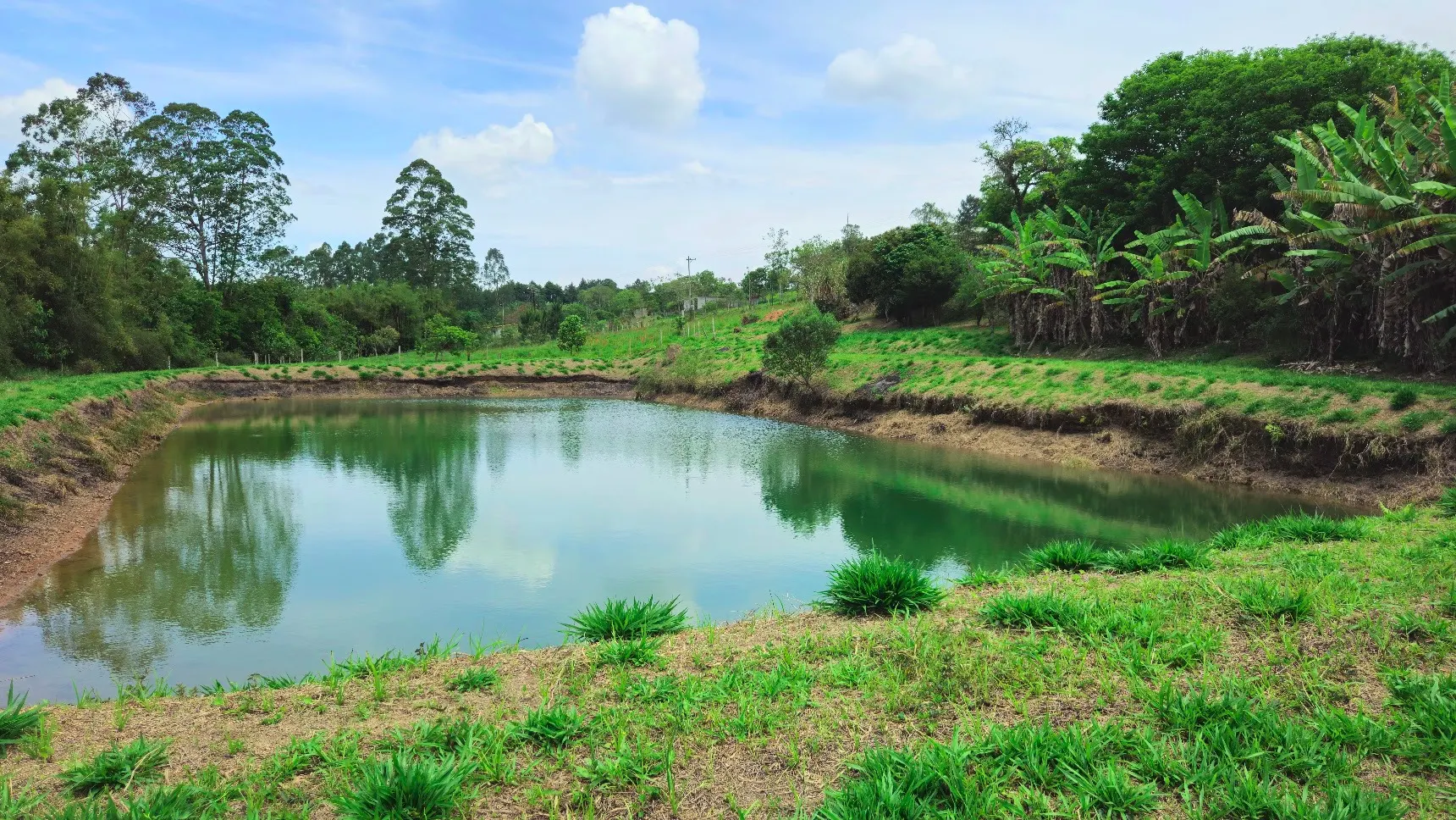 Sítio à venda de 3 ha em Biritiba-Mirim, SP, Brasil