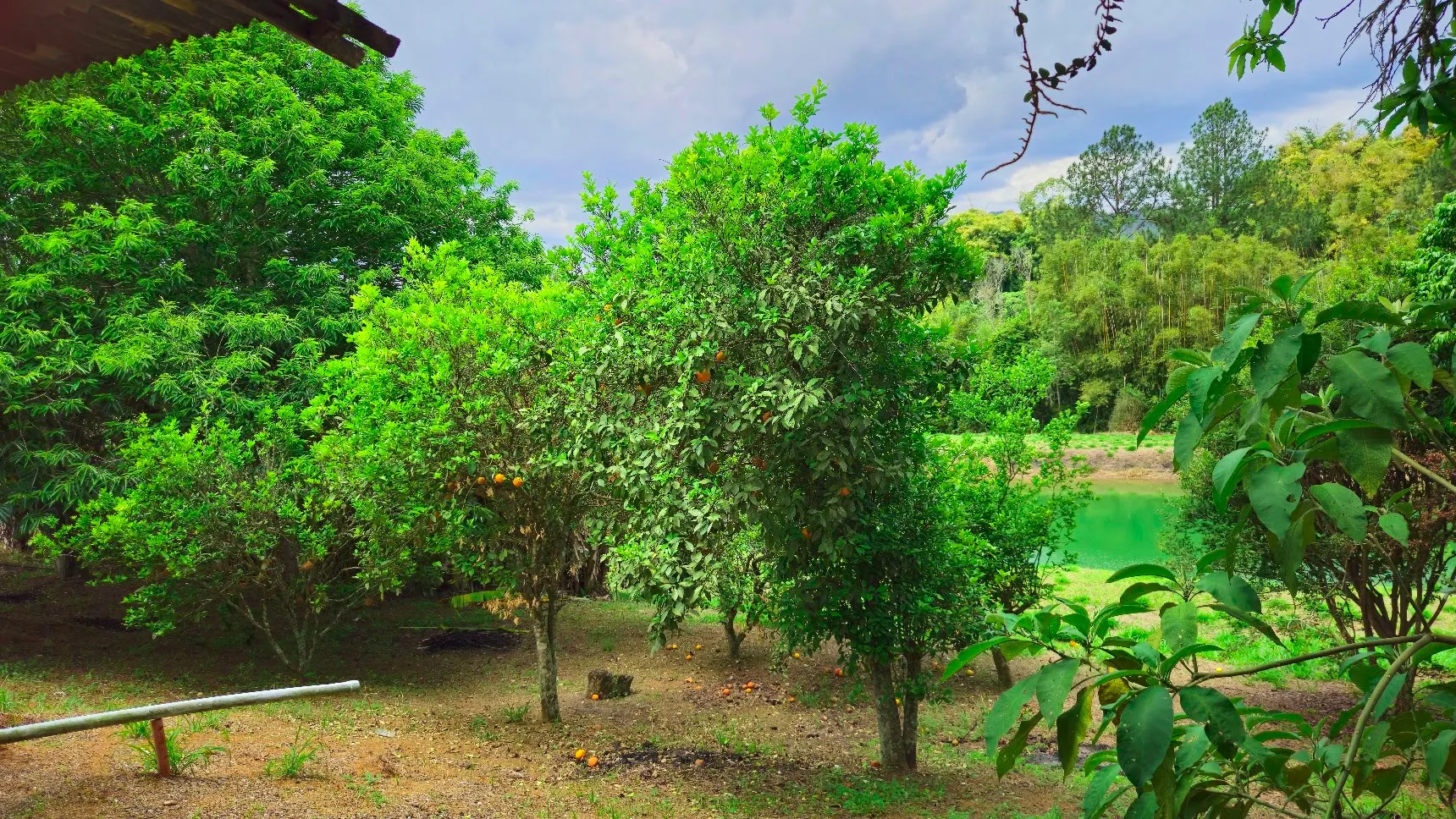 Sítio à venda de 3 ha em Biritiba-Mirim, SP, Brasil