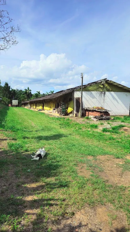 Sítio à venda de 3 ha em Biritiba-Mirim, SP, Brasil