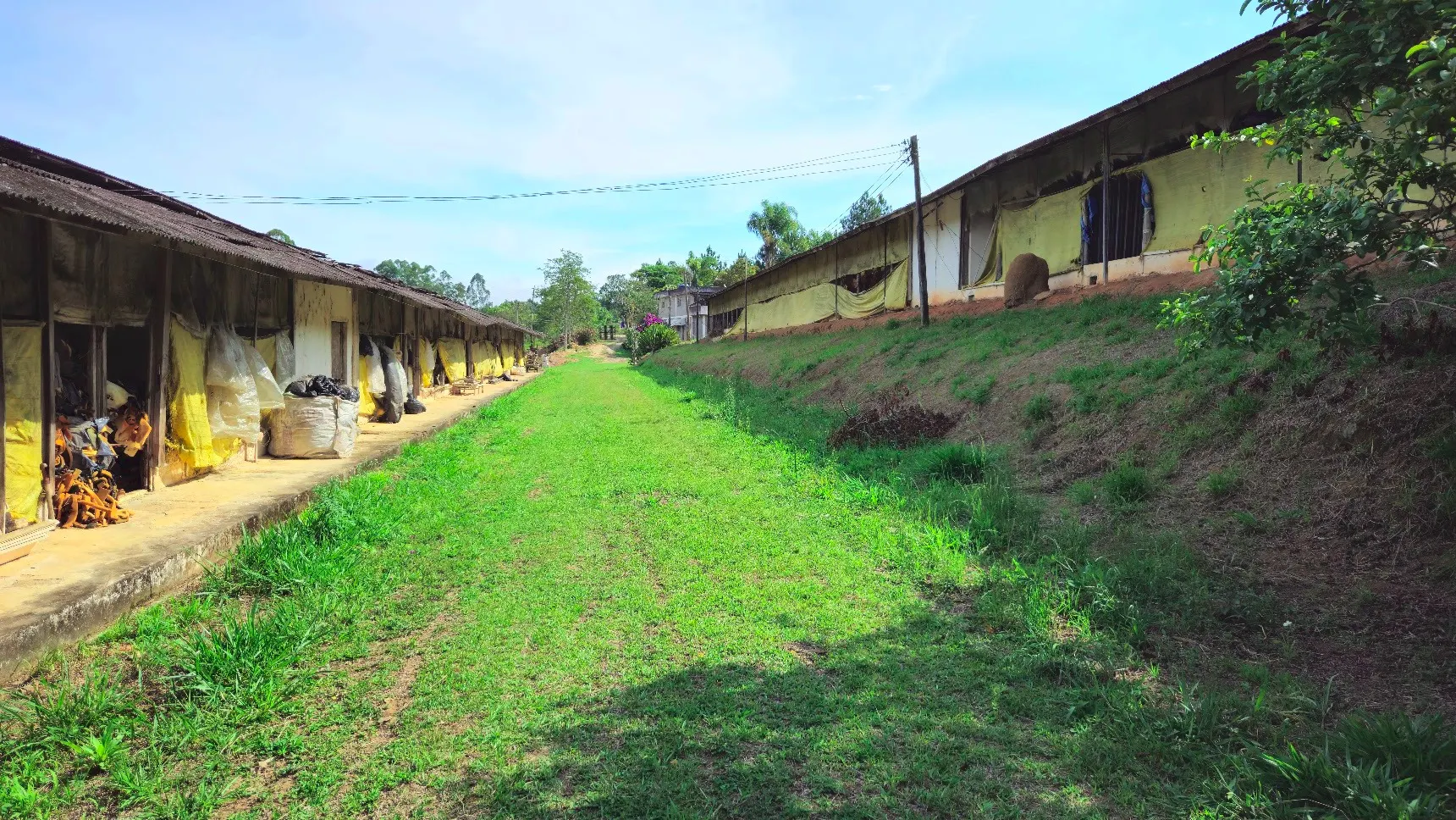 Sítio à venda de 3 ha em Biritiba-Mirim, SP, Brasil