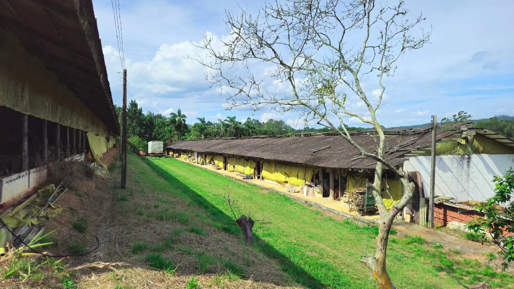 Sítio à venda de 3 ha em Biritiba-Mirim, SP, Brasil