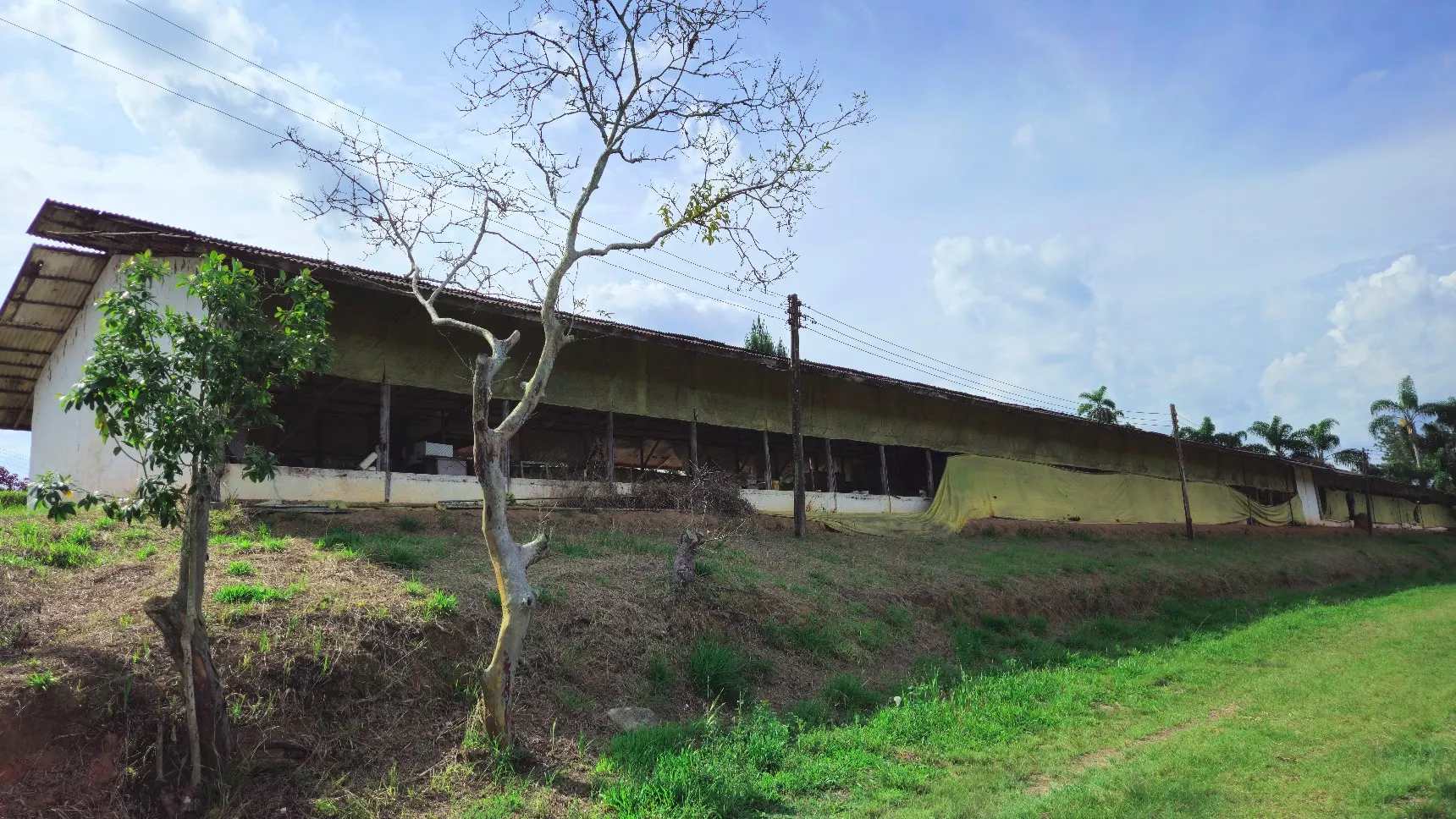 Sítio à venda de 3 ha em Biritiba-Mirim, SP, Brasil