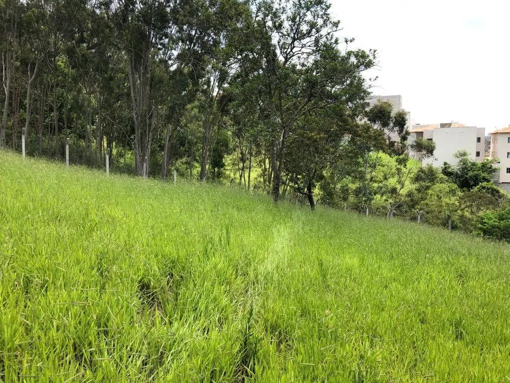 Terreno à venda de 1.569 m² em Pouso Alegre, MG, Brasil
