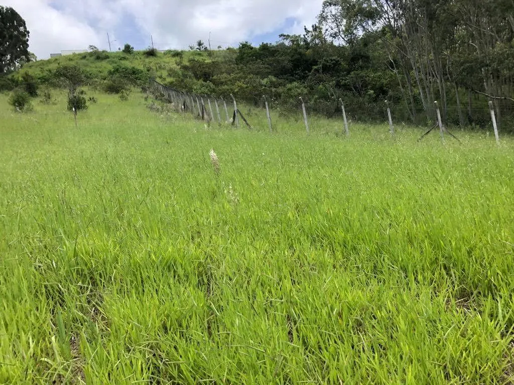 Terreno à venda de 1.569 m² em Pouso Alegre, MG, Brasil