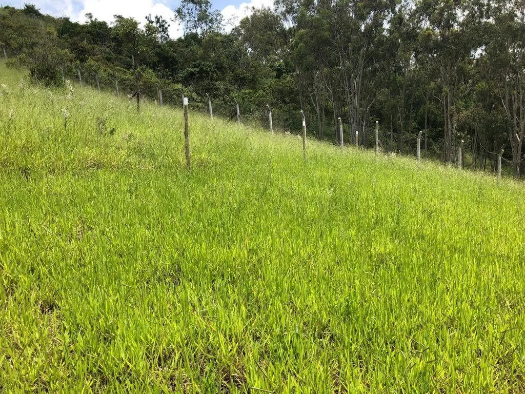 Terreno à venda de 1.569 m² em Pouso Alegre, MG, Brasil