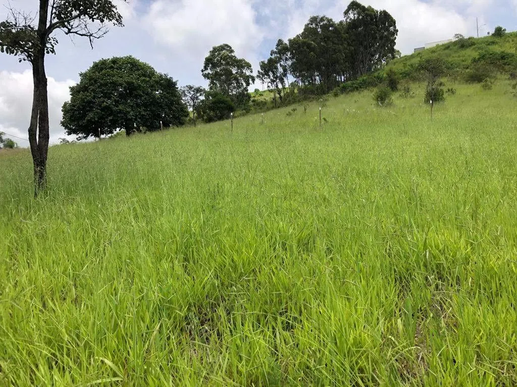 Terreno à venda de 1.569 m² em Pouso Alegre, MG, Brasil