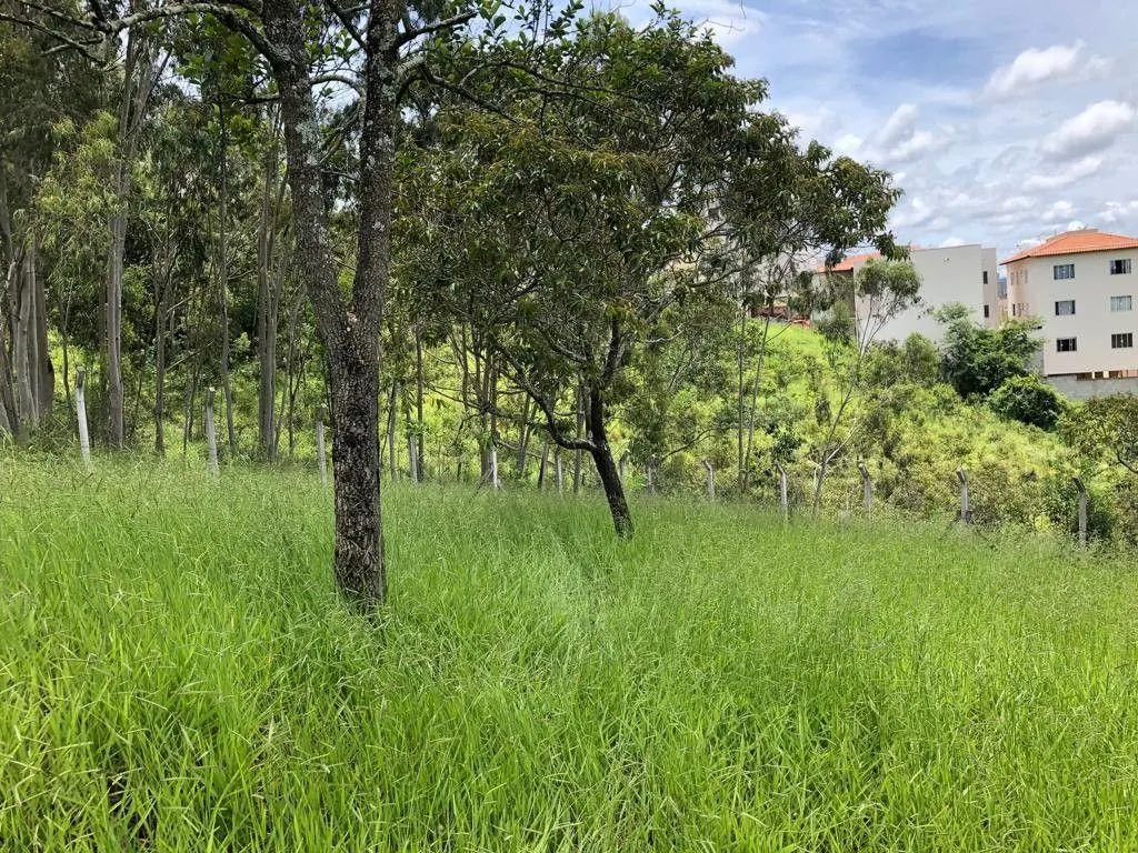 Terreno à venda de 1.569 m² em Pouso Alegre, MG, Brasil