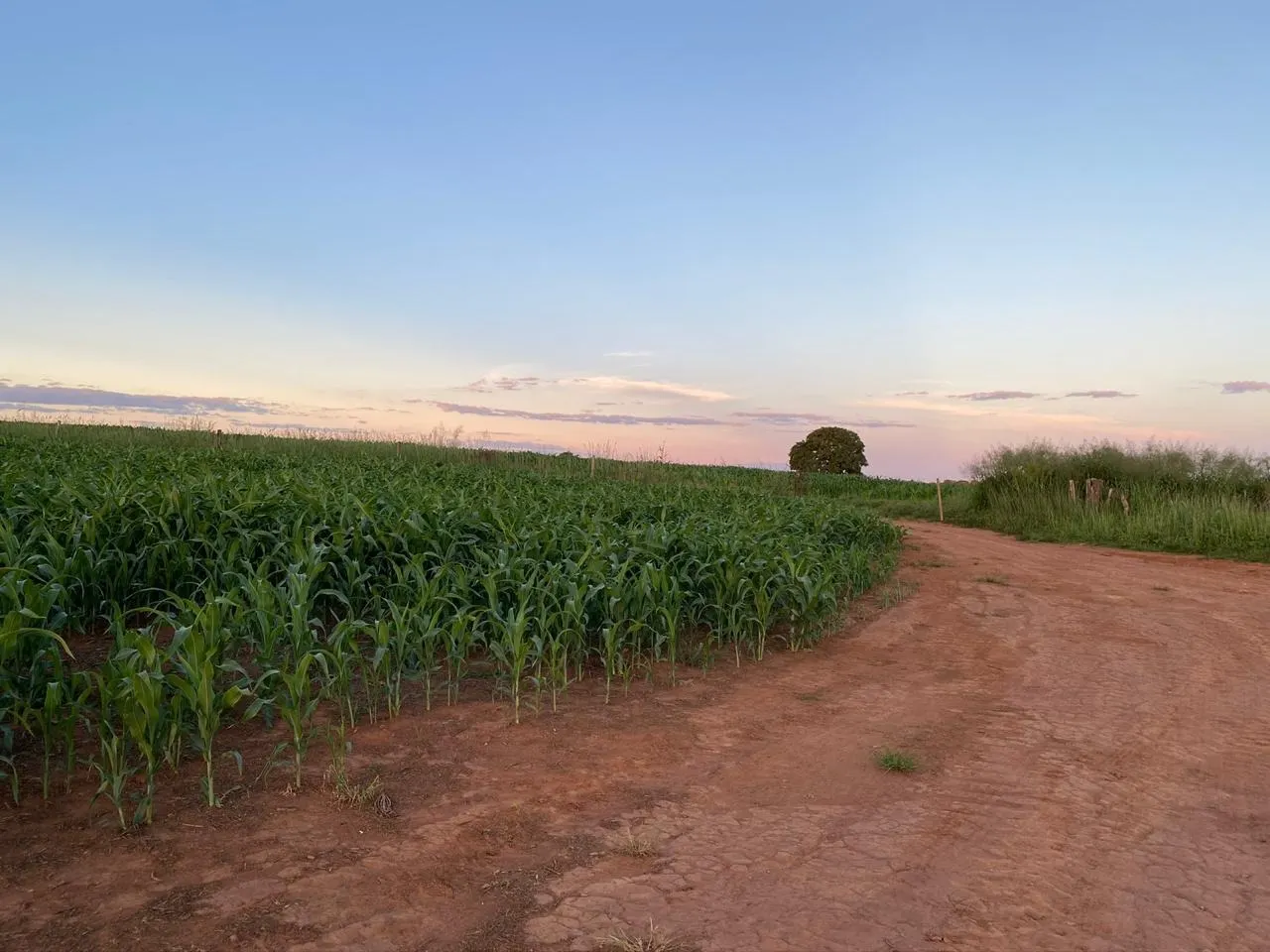 Fazenda à venda de 390 ha em Piracanjuba, GO, Brasil
