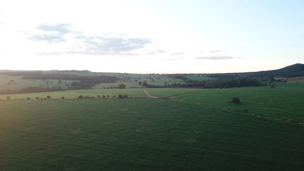 Fazenda à venda de 390 ha em Piracanjuba, GO, Brasil