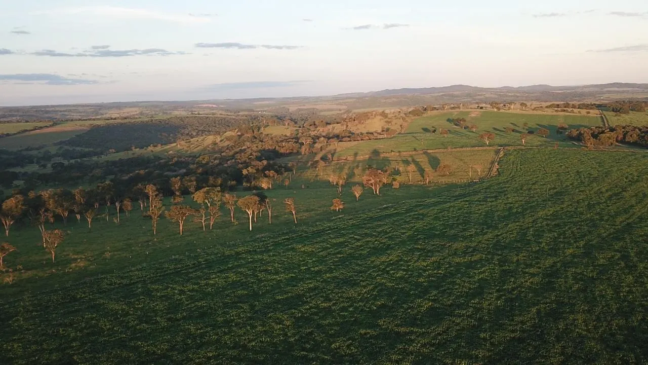 Fazenda à venda de 390 ha em Piracanjuba, GO, Brasil