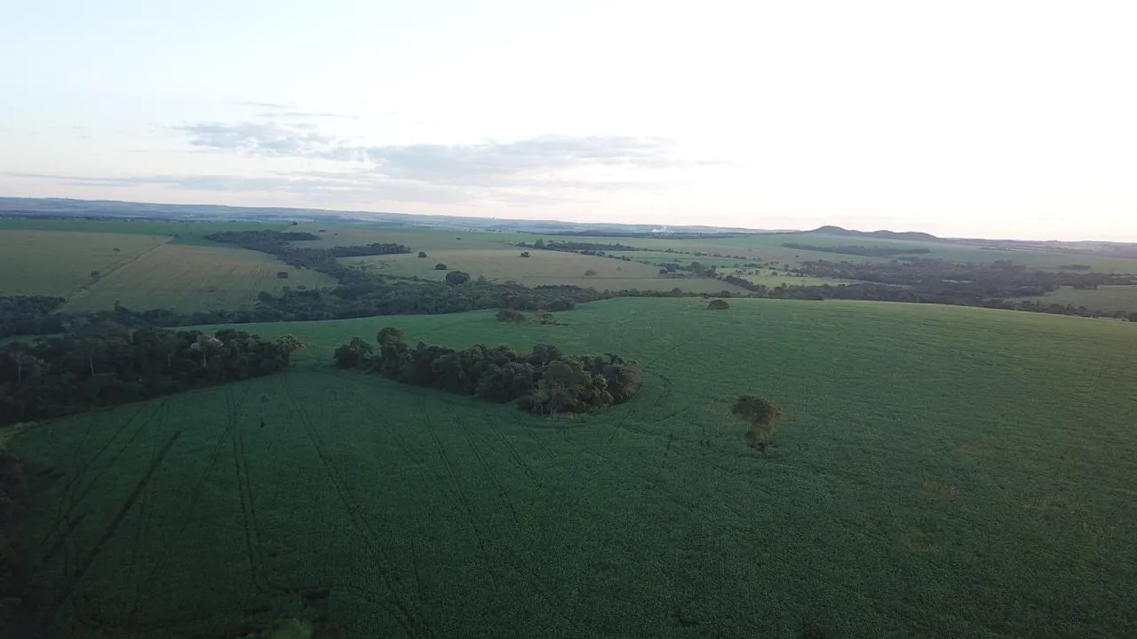 Fazenda à venda de 390 ha em Piracanjuba, GO, Brasil