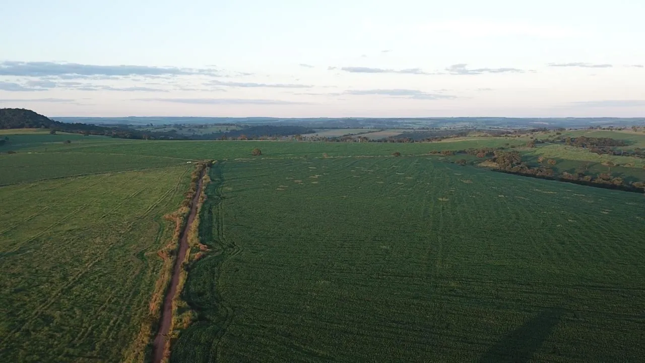 Fazenda à venda de 390 ha em Piracanjuba, GO, Brasil