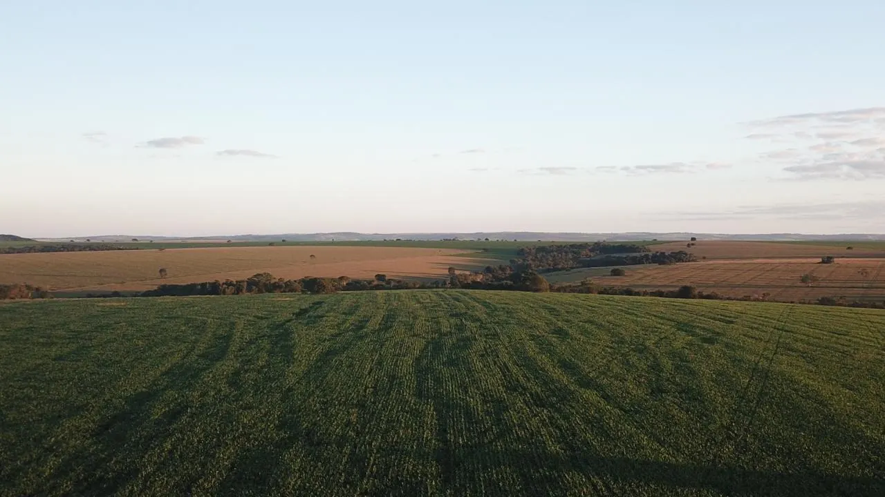 Fazenda à venda de 390 ha em Piracanjuba, GO, Brasil