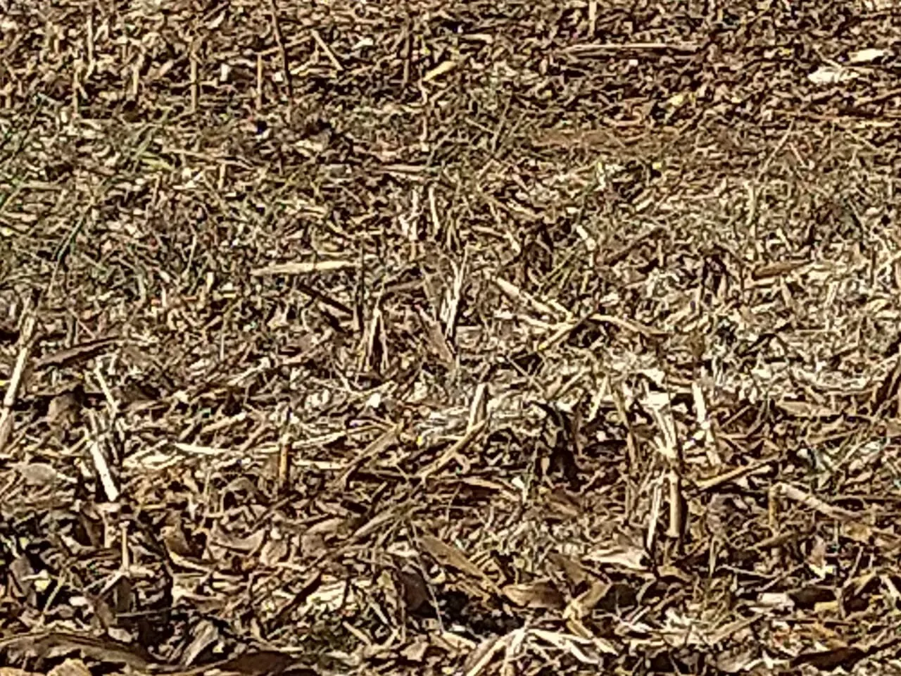 Fazenda à venda de 390 ha em Piracanjuba, GO, Brasil