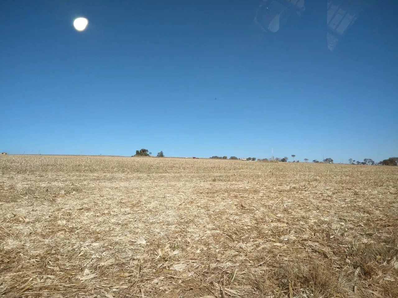 Fazenda à venda de 390 ha em Piracanjuba, GO, Brasil