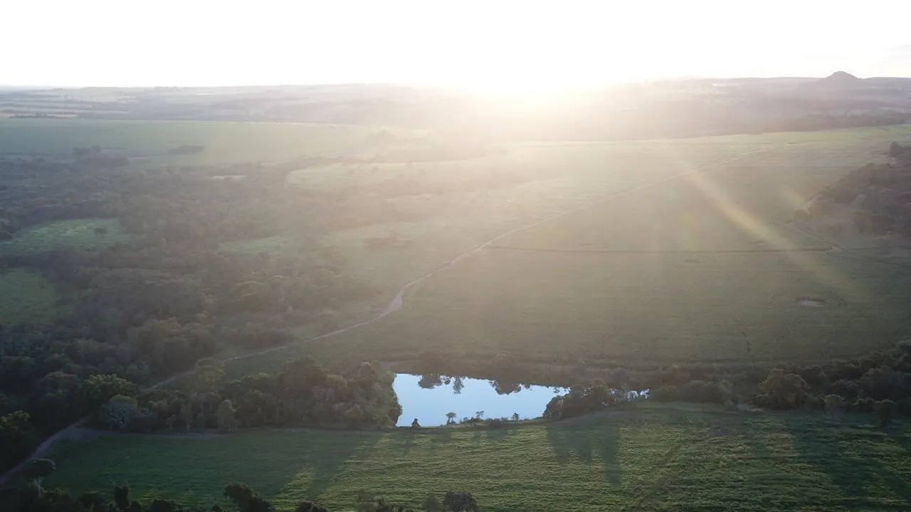 Fazenda à venda de 390 ha em Piracanjuba, GO, Brasil