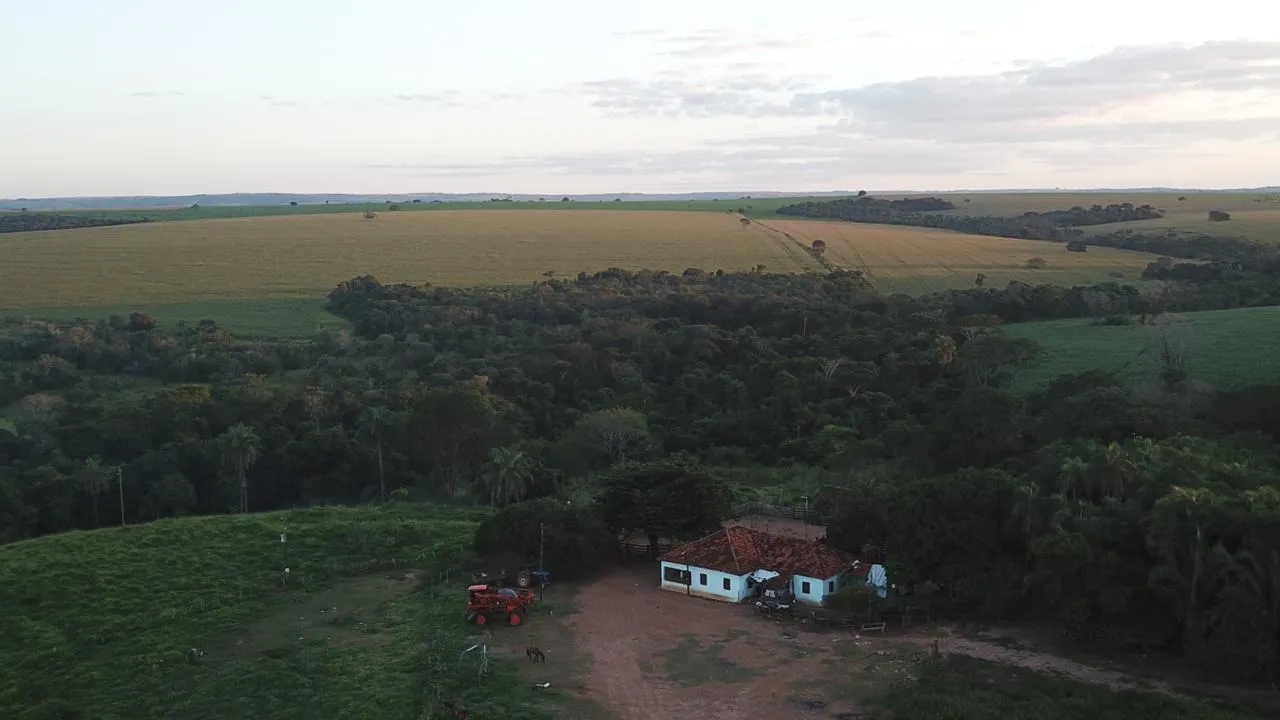 Fazenda à venda de 390 ha em Piracanjuba, GO, Brasil