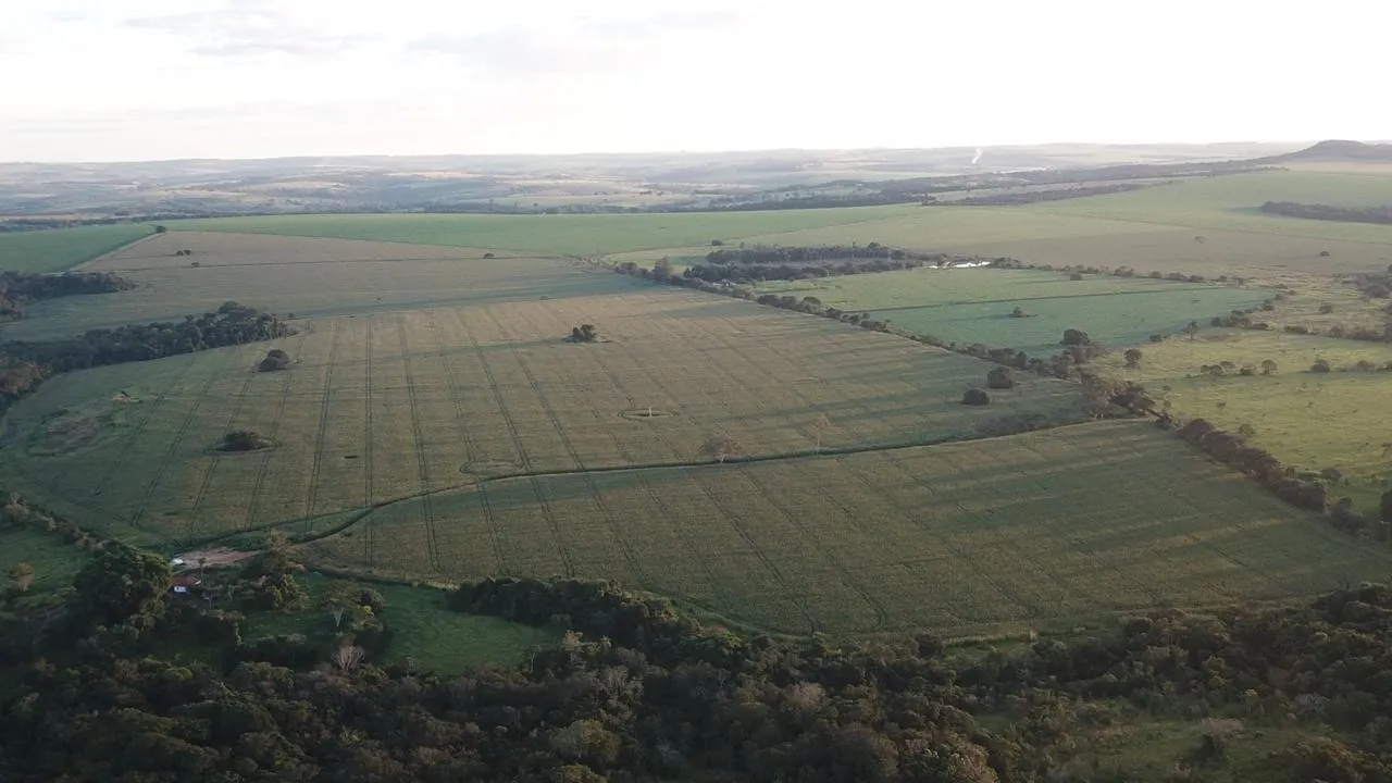 Fazenda à venda de 390 ha em Piracanjuba, GO, Brasil