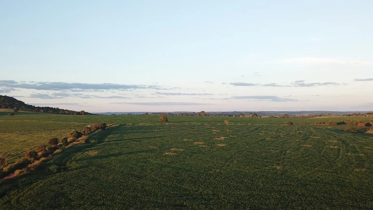 Fazenda à venda de 390 ha em Piracanjuba, GO, Brasil