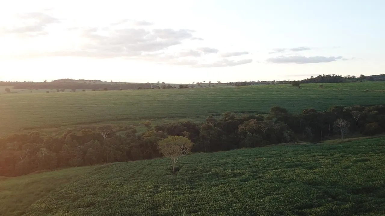 Fazenda à venda de 390 ha em Piracanjuba, GO, Brasil