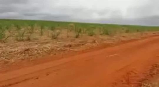 Fazenda à venda de 390 ha em Piracanjuba, GO, Brasil