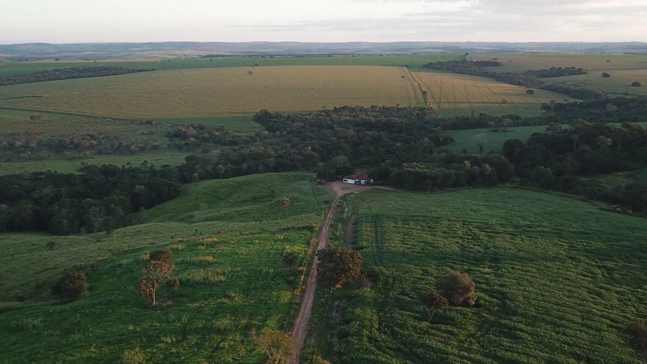 Fazenda à venda de 390 ha em Piracanjuba, GO, Brasil
