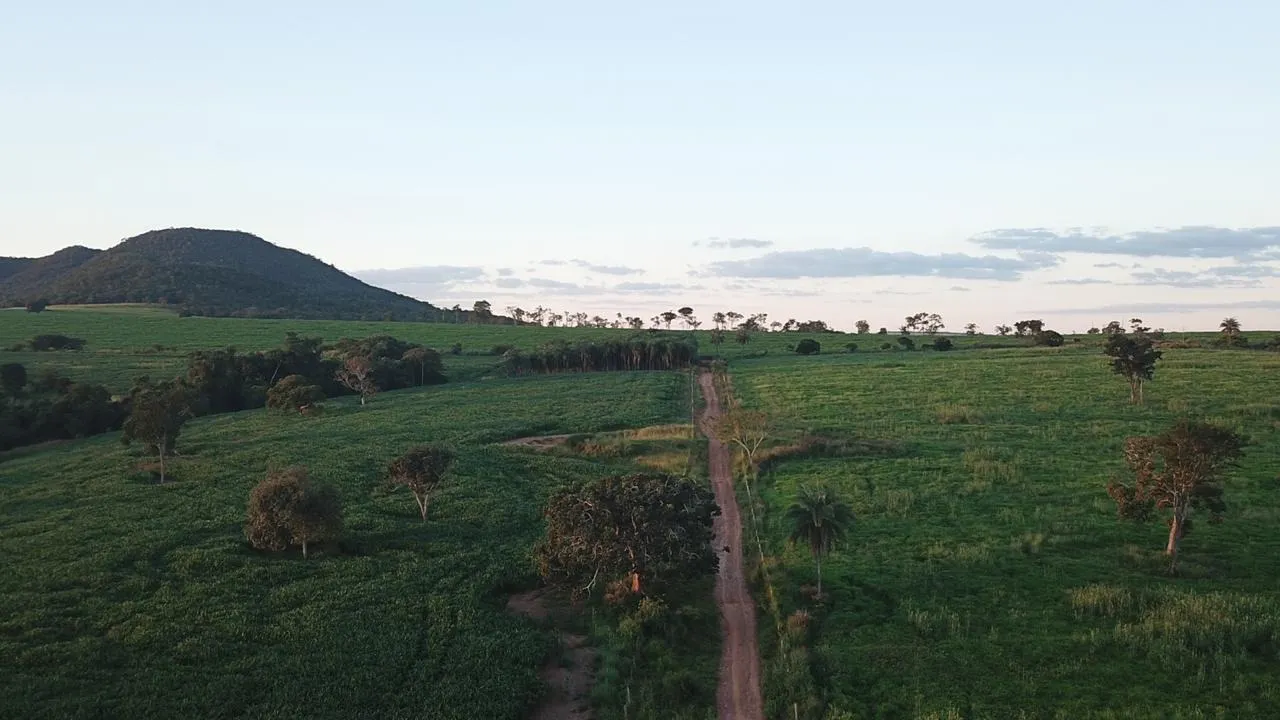 Fazenda à venda de 390 ha em Piracanjuba, GO, Brasil