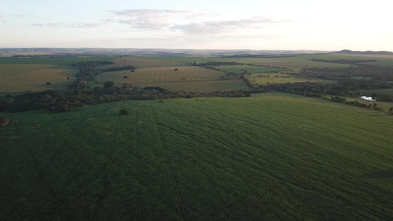 Fazenda à venda de 390 ha em Piracanjuba, GO, Brasil