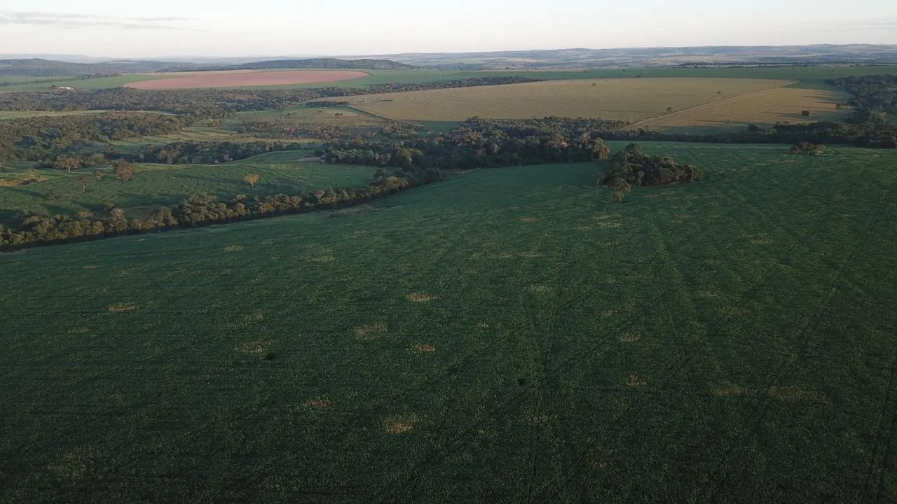 Fazenda à venda de 390 ha em Piracanjuba, GO, Brasil