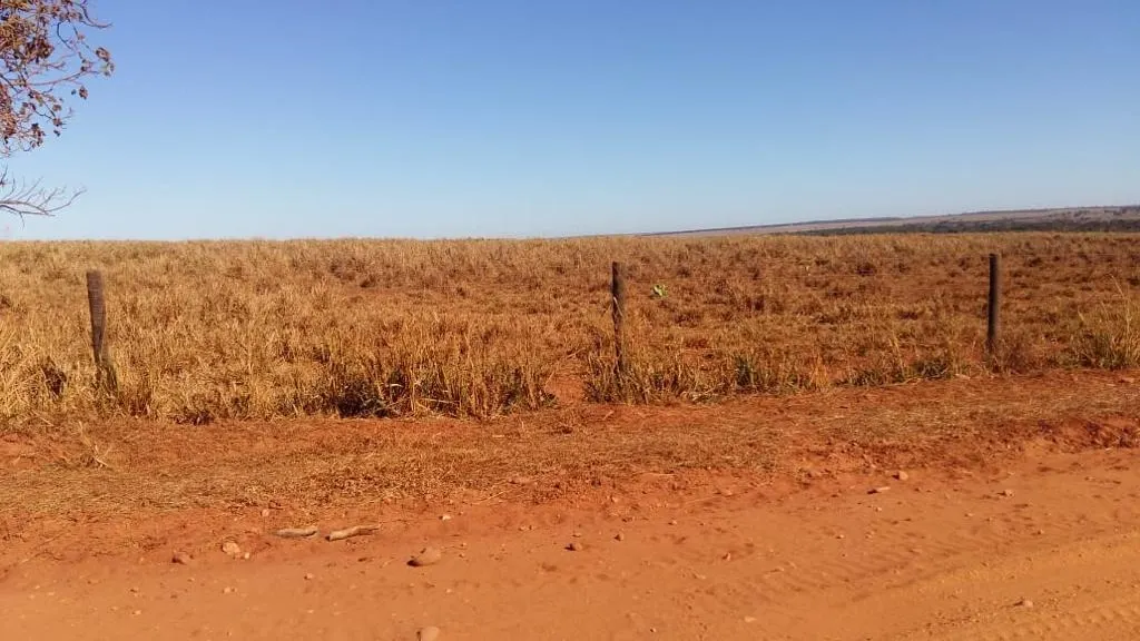 Fazenda à venda de 390 ha em Piracanjuba, GO, Brasil