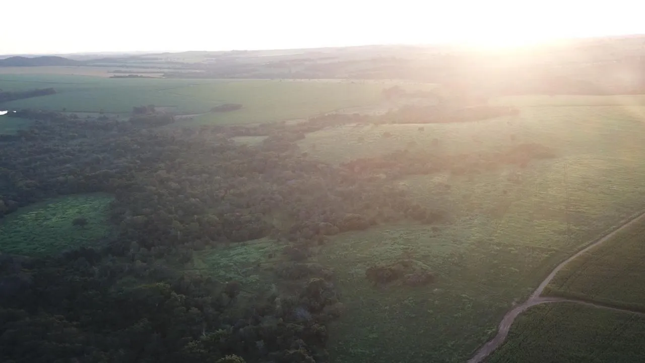 Fazenda à venda de 390 ha em Piracanjuba, GO, Brasil