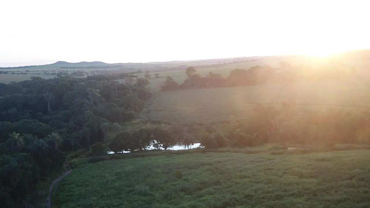 Fazenda à venda de 390 ha em Piracanjuba, GO, Brasil