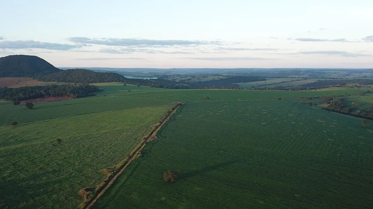 Fazenda à venda de 390 ha em Piracanjuba, GO, Brasil
