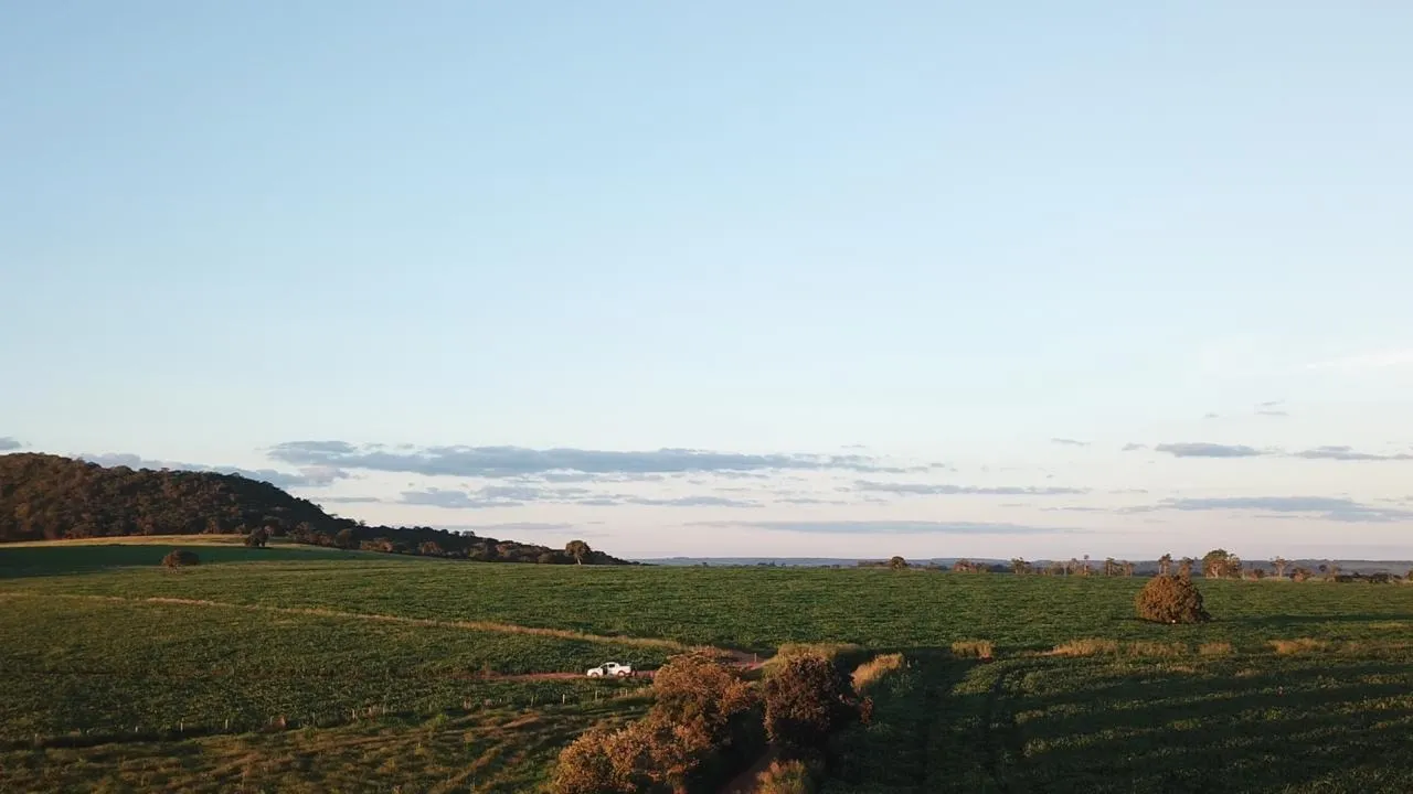 Fazenda à venda de 390 ha em Piracanjuba, GO, Brasil