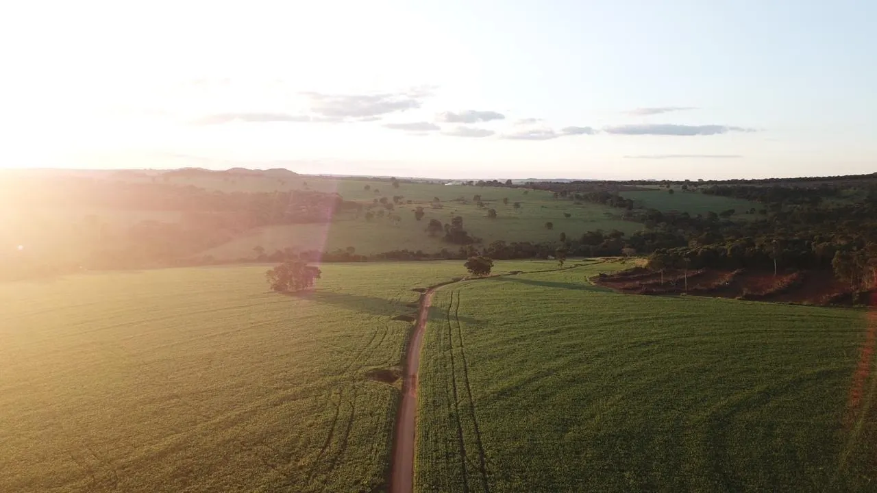 Fazenda à venda de 390 ha em Piracanjuba, GO, Brasil