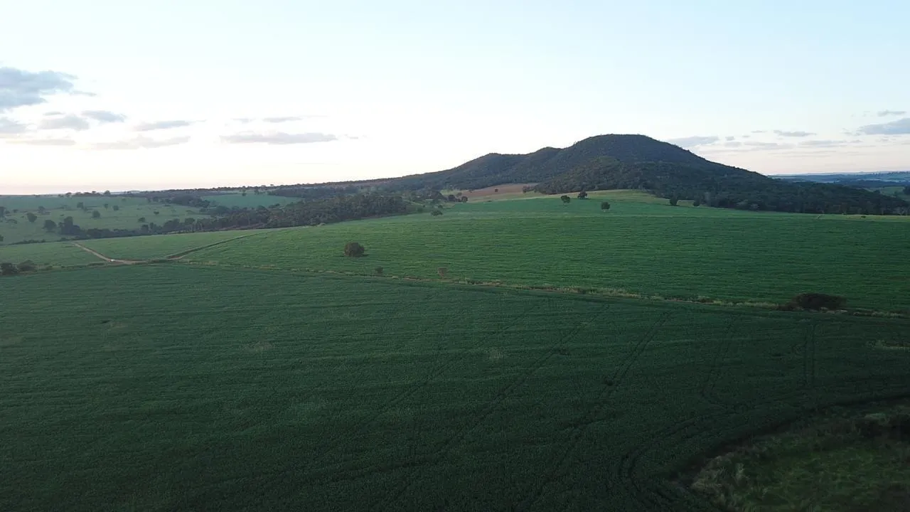 Fazenda à venda de 390 ha em Piracanjuba, GO, Brasil