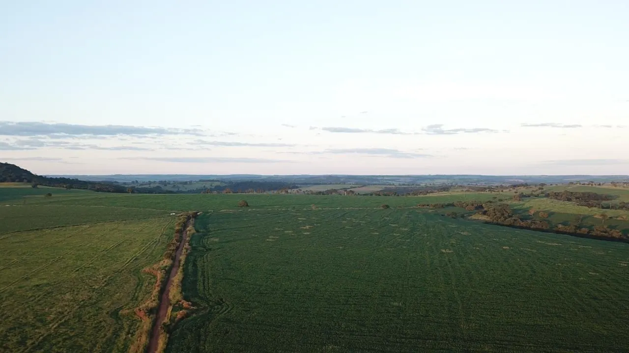 Fazenda à venda de 390 ha em Piracanjuba, GO, Brasil