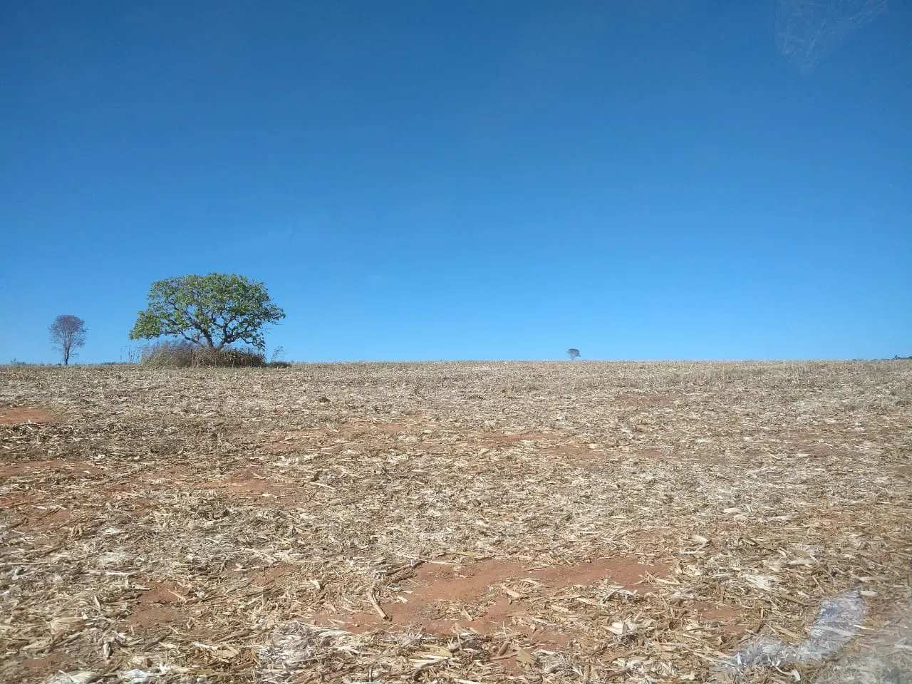 Fazenda à venda de 390 ha em Piracanjuba, GO, Brasil