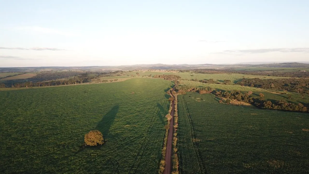 Fazenda à venda de 390 ha em Piracanjuba, GO, Brasil