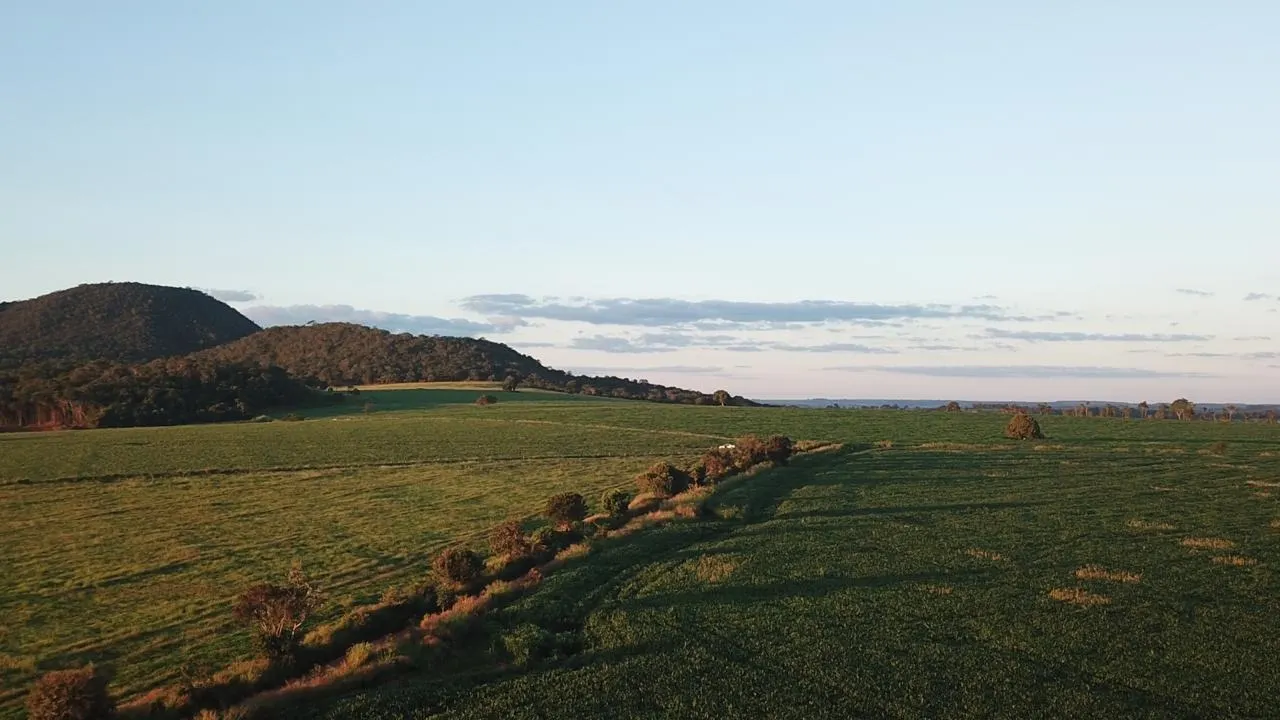 Fazenda à venda de 390 ha em Piracanjuba, GO, Brasil