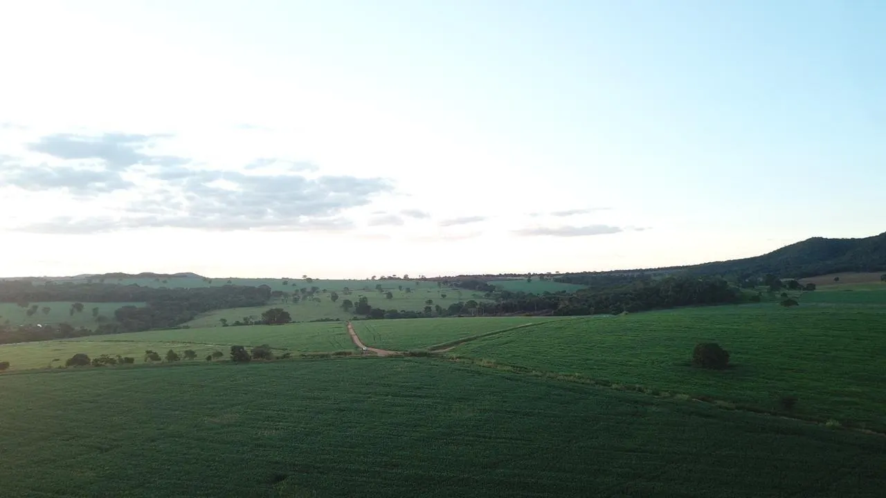 Fazenda à venda de 390 ha em Piracanjuba, GO, Brasil