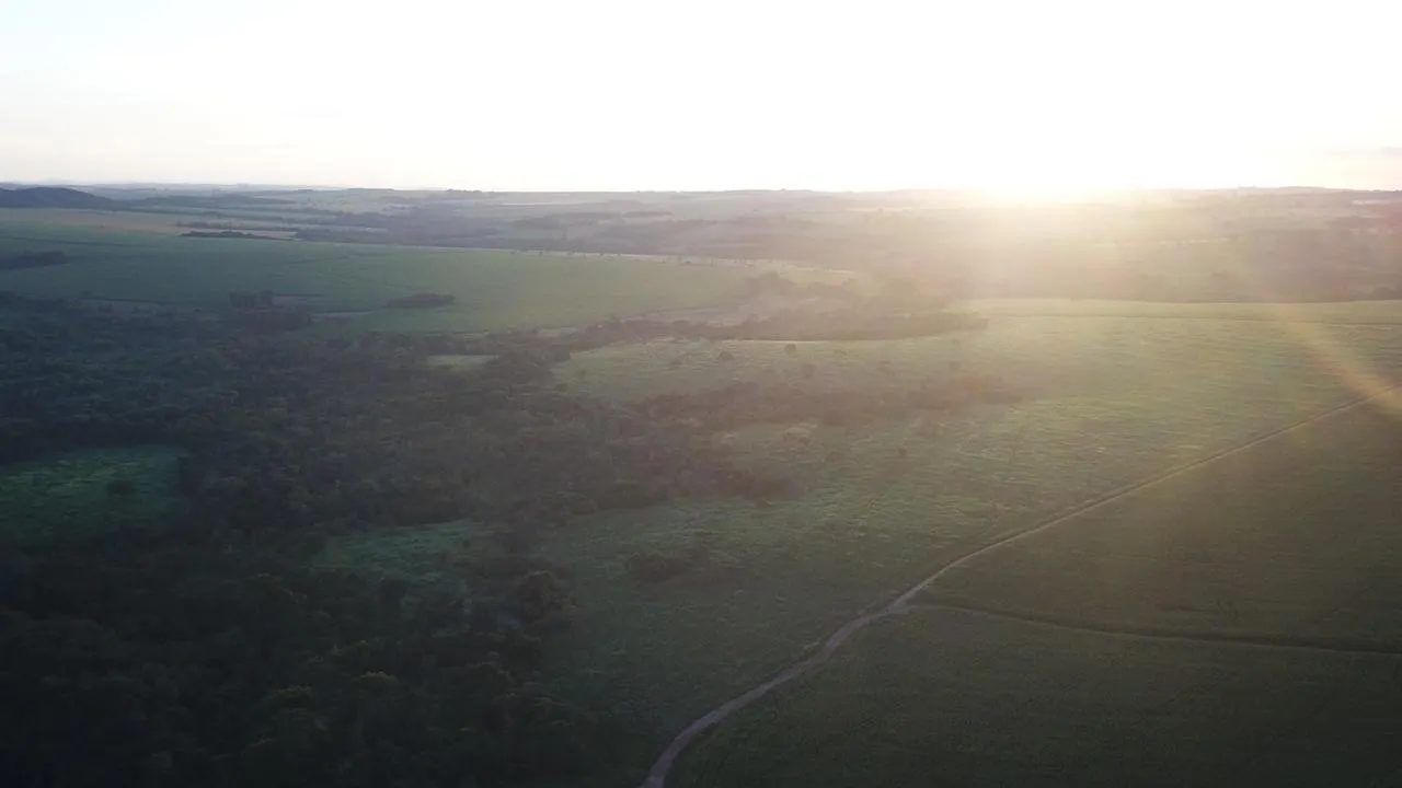 Fazenda à venda de 390 ha em Piracanjuba, GO, Brasil